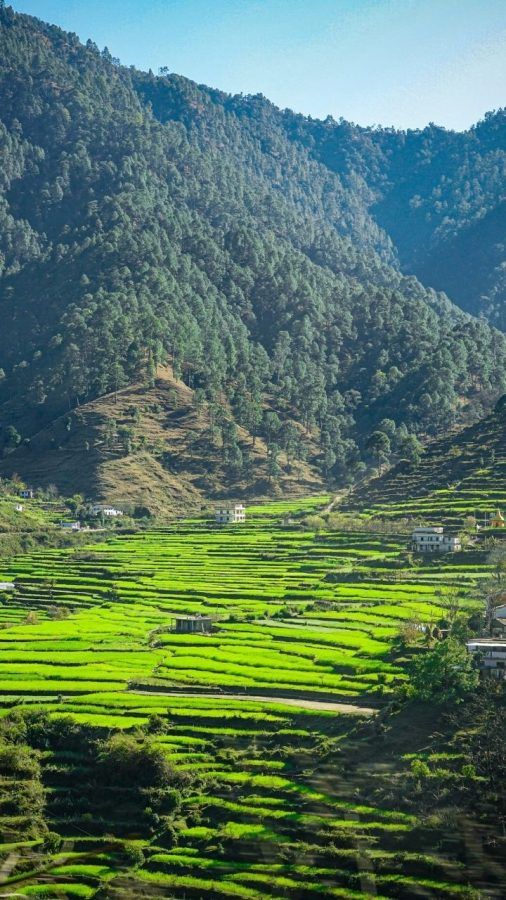 Some Of The Most Beautiful Hill Stations In Uttarakhand For A Getaway