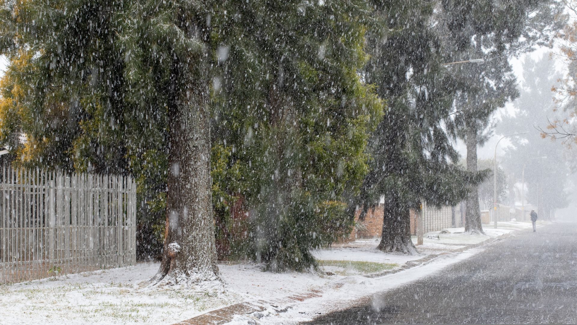 Johannesburg Witnesses Snow For The First Time In Over A Decade