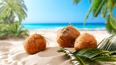 Here’s How Two Delhi Hotels Are Celebrating World Coconut Day