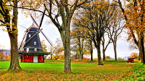 This Is Proof That Denmark Is Experiencing the Most Gorgeous Autumn Ever