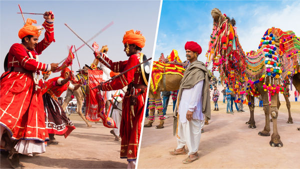 All You Need To Know Before Going To This Year’s Camel Festival In Bikaner