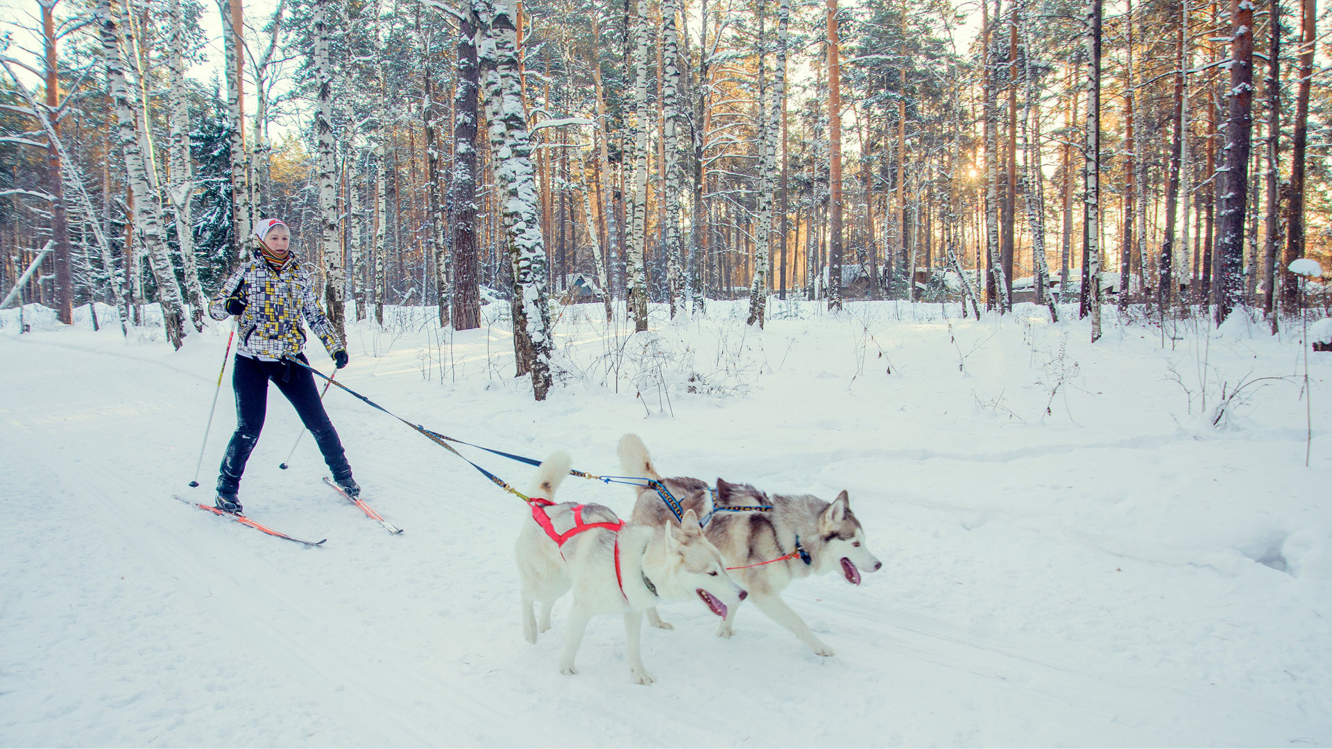 6 Pet Friendly Ski Resorts Every Pet And Snow Lover Should Explore 6-pet-friendly-ski-resorts-every-pet-and-snow-lover-should-explore