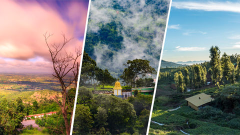 5 Winter Treks In South India You Must Explore Because Snow Isn’t A Reason To Not Go Trekking