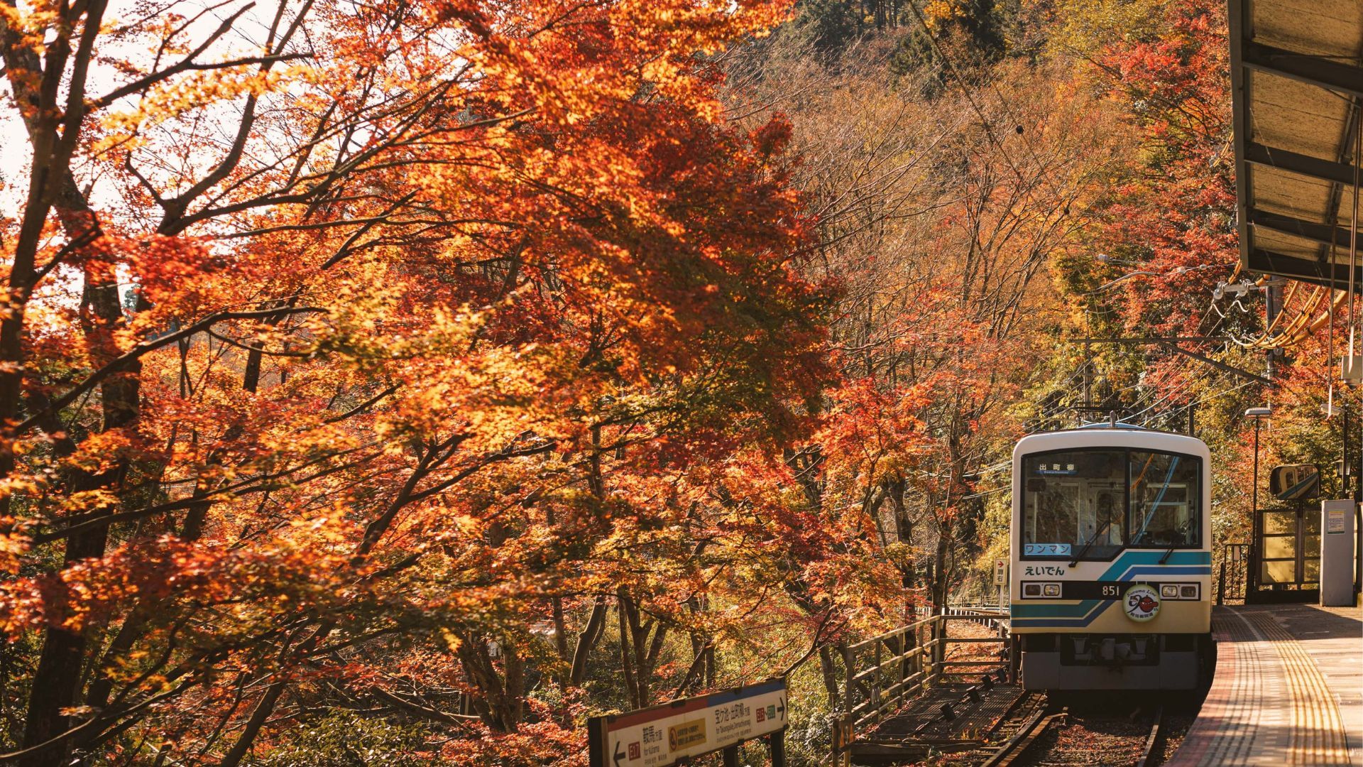 Autumn season in Kyoto