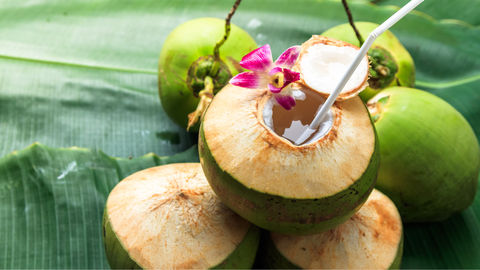 Learn A Thing Or Two About Conscious Living When In Tamil Nadu From These Coconut Water Sellers