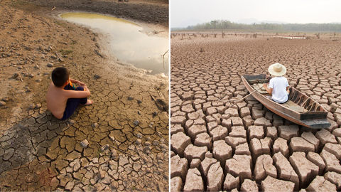 India’s First Climate Parade Comes To Delhi To Fight Climate Change. Here's How You Can Be A Part