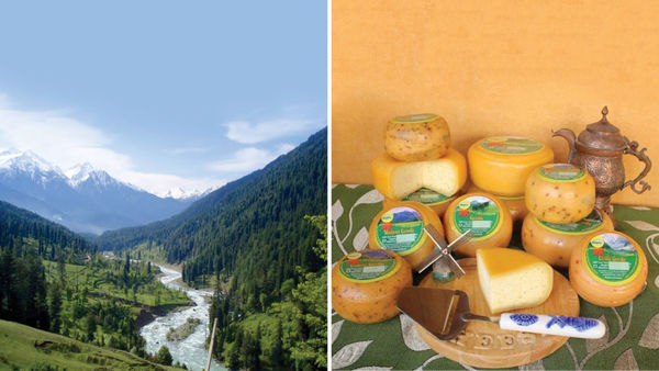 This Cheese Factory In Kashmir Will Re-define Your Purpose Of Visiting The Valley!