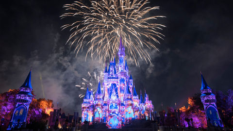 The Walt Disney World Isn't Just For Kids. Find Out Why!
