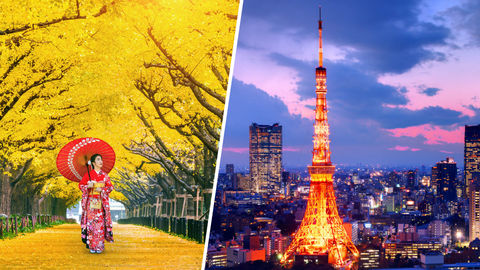Tokyo Bucket List: Top 5 Things To Do In Japan's Coolest City