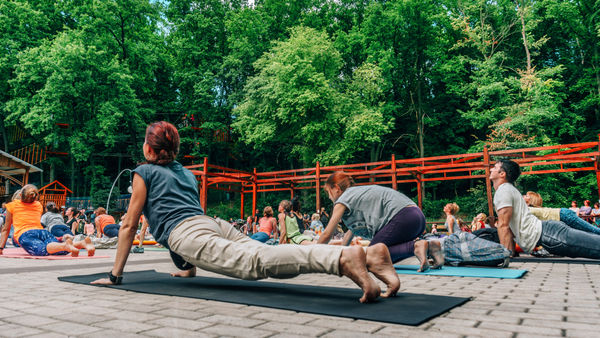 Calling All Yogis To The International Yoga Festival 2019