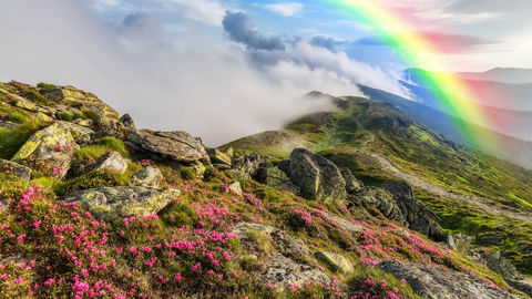 Places In India Where You Can Easily Spot Breathtaking Rainbows