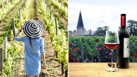This Summer Vacation, Stay In A French Vineyard In Bordeaux!