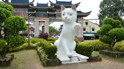 Cat City Kuching In Malaysia Is Every Cat Lover's 'Purrfect' Dream Destination