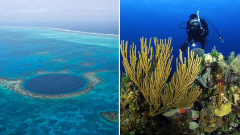 Visit Belize Barrier Reef For The Best Diving & Snorkeling Experience Ever!