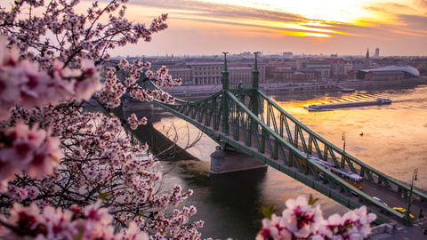 Experience Budapest In Its Bloom: The Magic Of Spring!