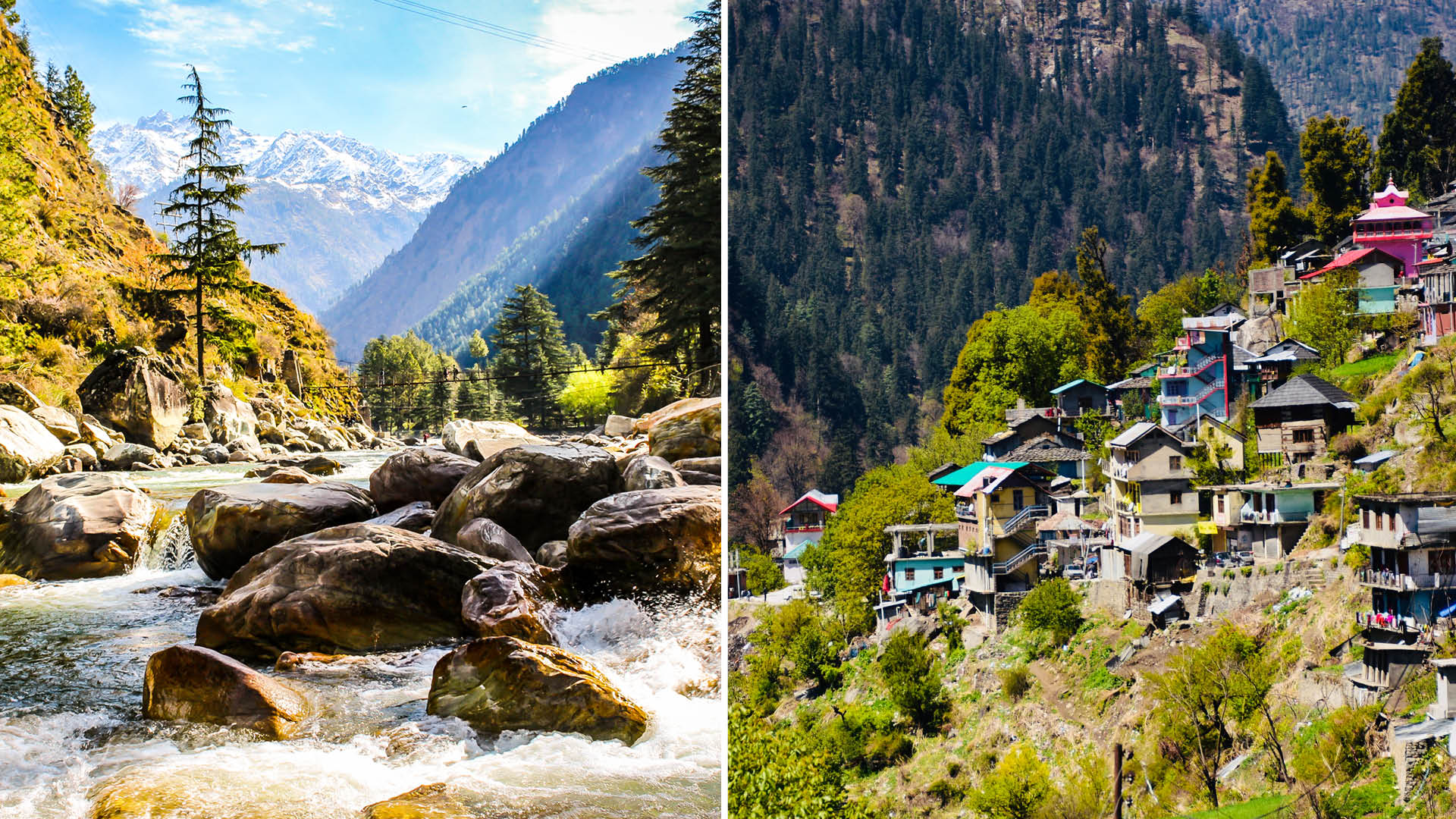 A river running through a lush green forest photo – Free India Image on  Unsplash