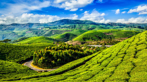 Why Travel Abroad When You Can Explore The Hidden Gems Of Western Ghat