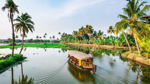 Vayalar In Kerala: Here's Why You Should Explore This Unconventional Destination!