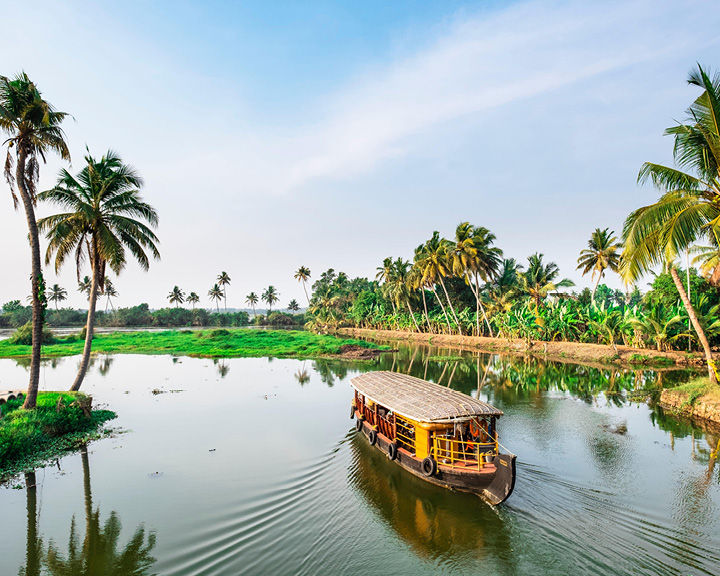 Vayalar In Kerala:Here's Why You Should Explore This Unconventional De