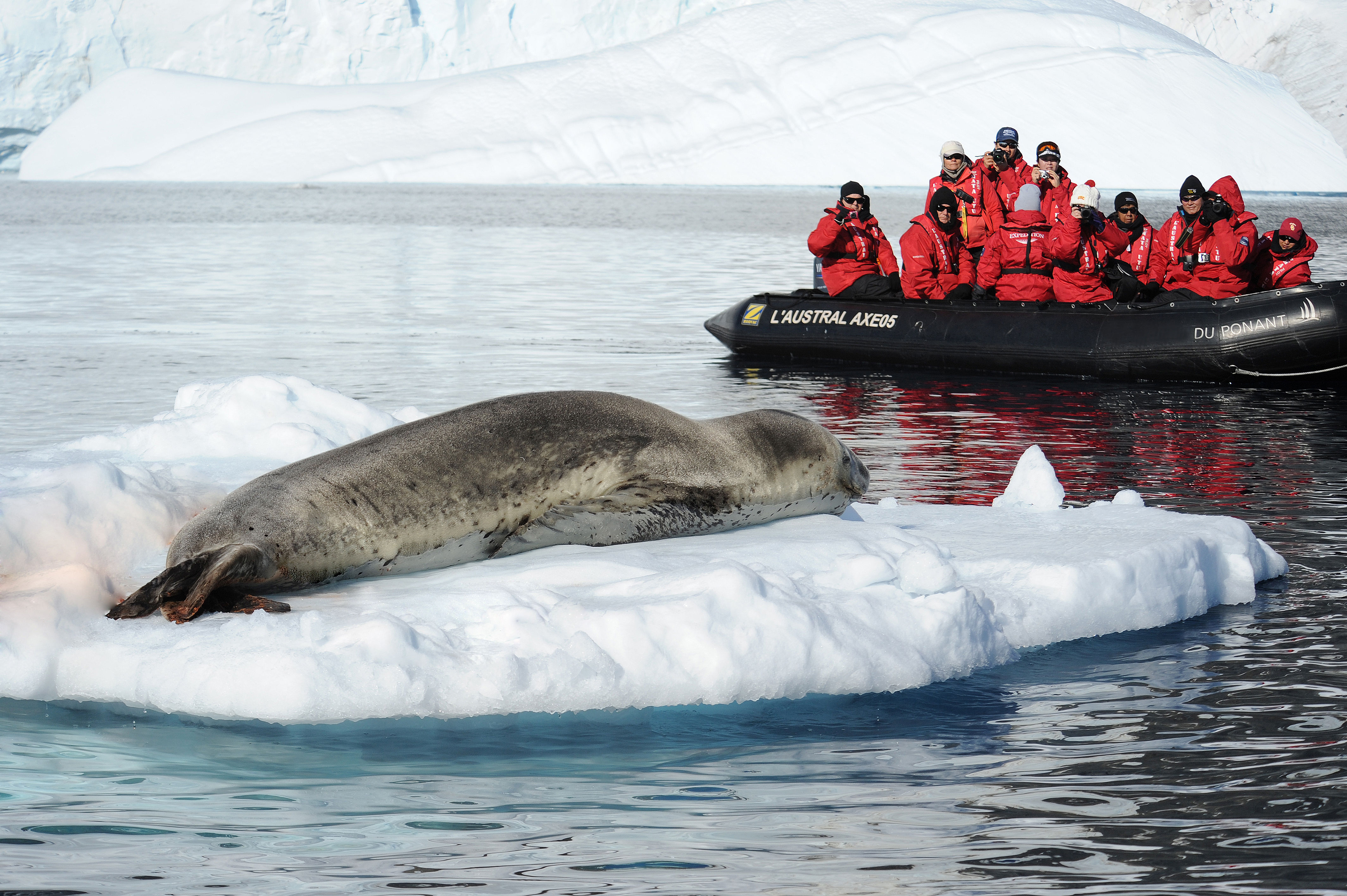 Antarctica Expedition