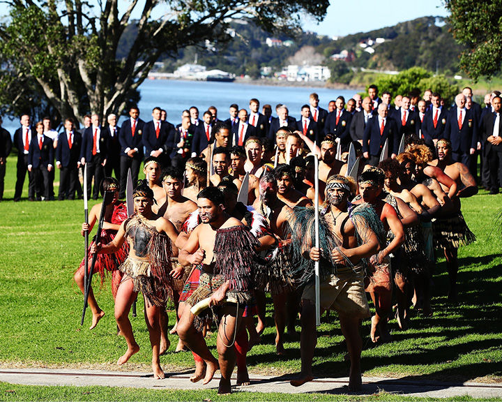 Kauri Trees Maori Culture