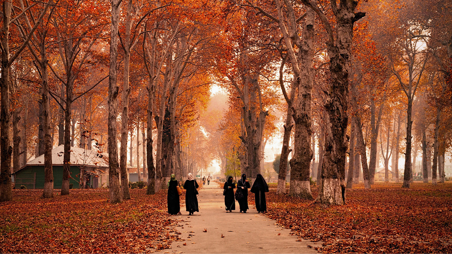 When autumn. Кашмир осень.