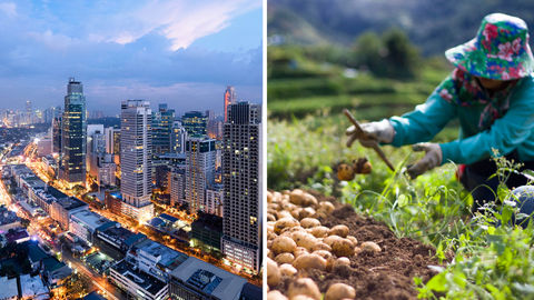 Here's How You Can Traverse The Philippines As A Vegetarian!