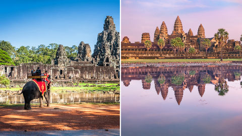 No More Elephant Rides At Cambodia’s Angkor Wat From 2020 