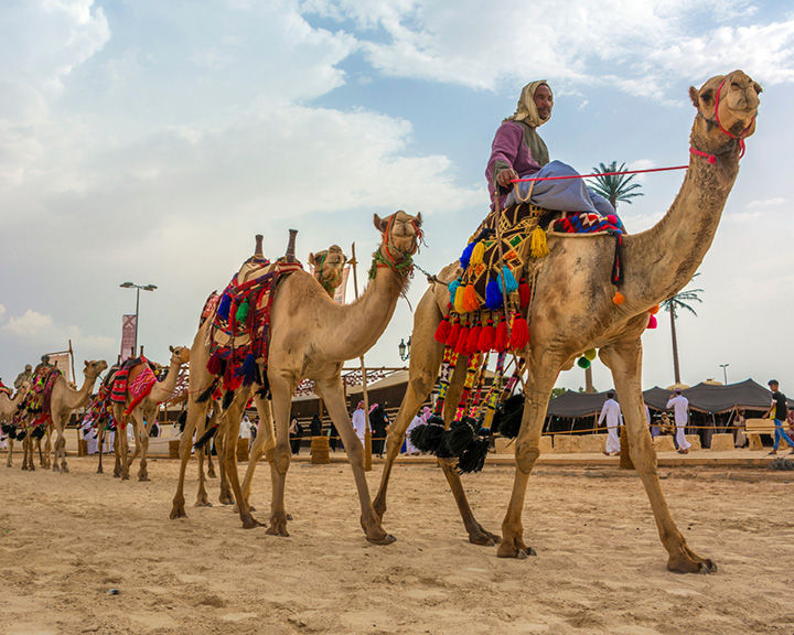 Crown Prince Camel Festival