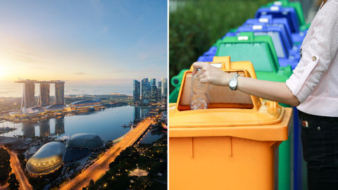 Every Country Should Implement Singapore's Waste Management System