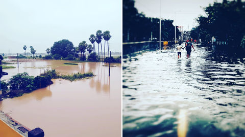 Flood In Bihar: Heavy Rains Claim Lives!