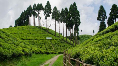 Make Way For These West Bengal's Must-Visit Hills!