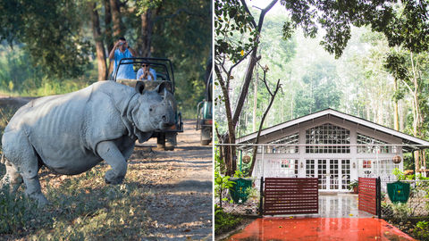 We Went On A Tea Trail In Assam & Here's What We Experienced!