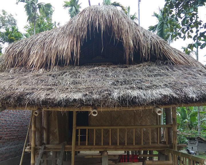 Tea Trail In Assam