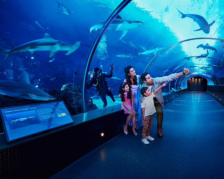 Singapore Guide