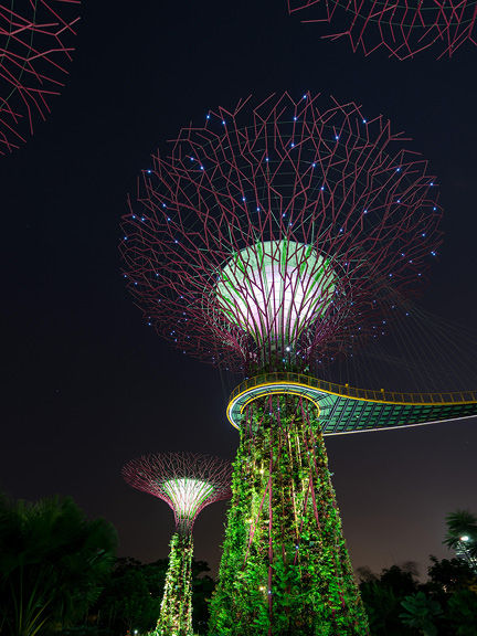 Singapore Guide