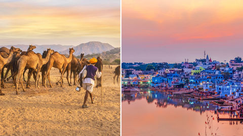 Pushkar Camel Fair 2019: Here’s How To Best Experience This Festival