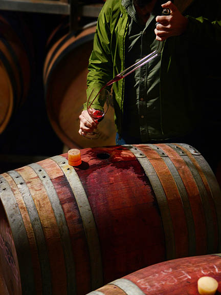 New Wines Of The New World
