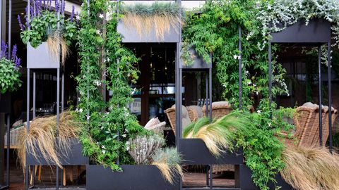 Here's How Giant Vertical Gardens Are Adding Life To Hotels & Restaurants This Year!