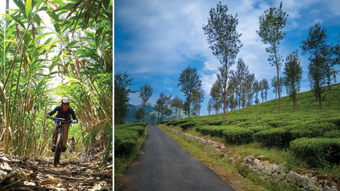 Gear Up! The 6th Edition Of Mountain Bike Kerala To Be Held In Wayanad