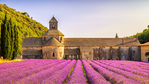 Explore The Lavender Beauty Of Sénanque Abbey, France In 2020