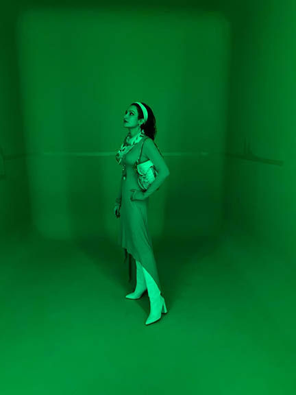 Shalini Passi Abu Dhabi Art Fair