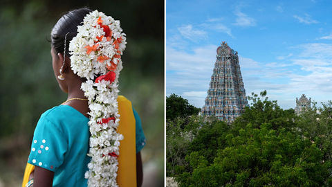 Here's How You Should Explore The Jasmine Trail Of Madurai
