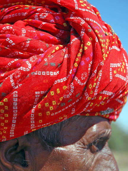 Maharaja Sawai Padmanabh Singh
