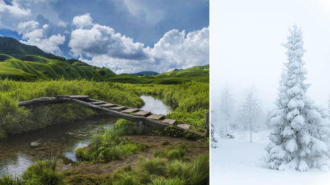 Nagaland Witnesses Unprecedented Snowfall After 40 Years!