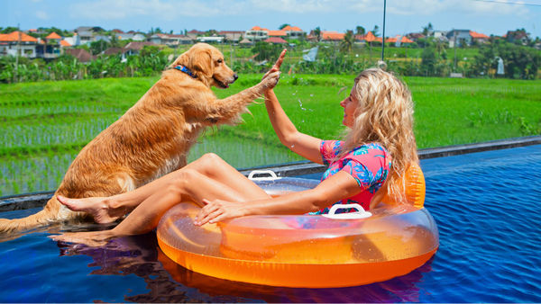 Pet-Friendly Destinations: Travellers Are Now Prioritising Their Pets While Planning A Vacation