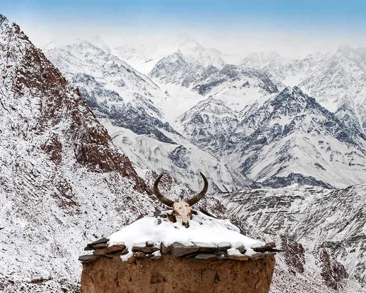Winter Wonderland Ladakh
