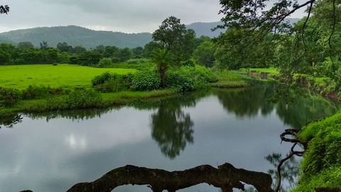 Visit This Unexplored Beach Near Mumbai To Savour Some Parsi Flavour