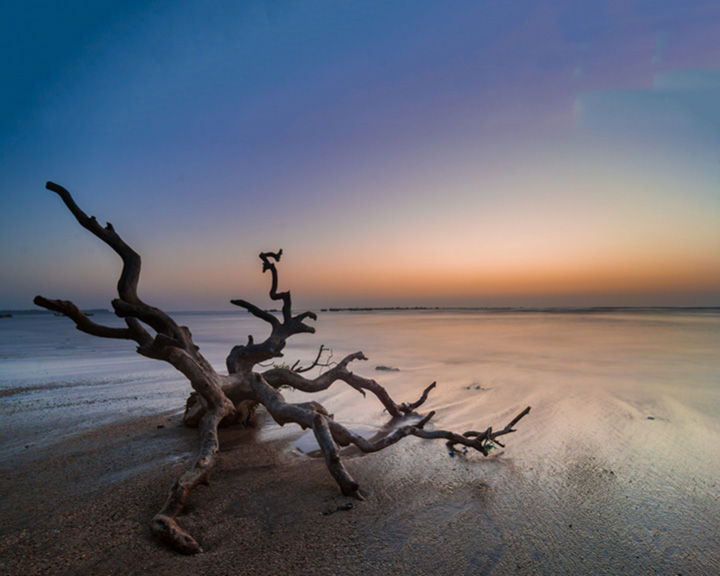 Unexplored Beach Near Mumbai