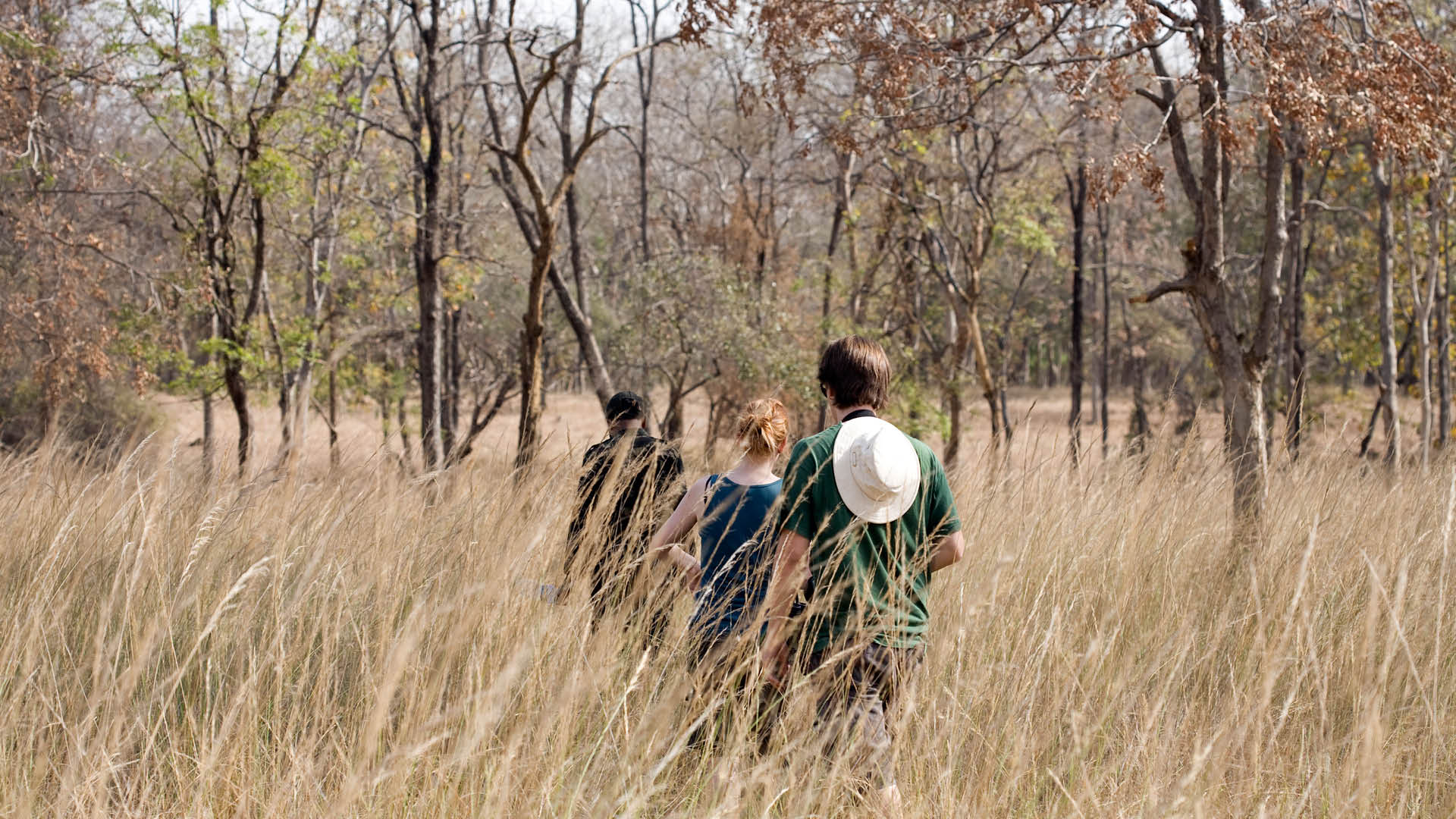 RARE India Shoba Mohan Forests Of Satpura